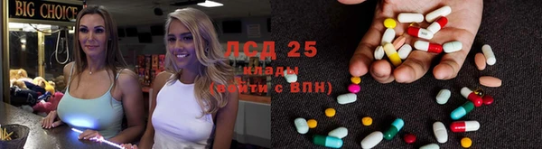 дживик Абинск