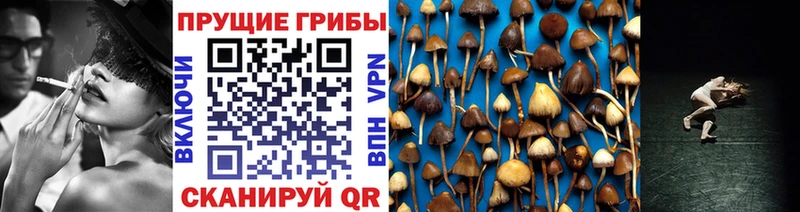 цена наркотик  Туапсе  Галлюциногенные грибы прущие грибы 